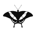 Motyl 11 szablon malarski