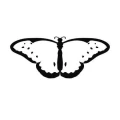 Motyl 12 szablon malarski
