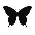 Motyl 13 szablon malarski