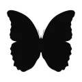 Motyl 17 szablon malarski