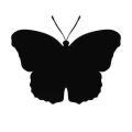 Motyl 19 szablon malarski