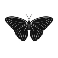 Motyl 2 szablon malarski