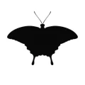 Motyl 23 szablon malarski