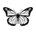 Motyl 3 szablon malarski