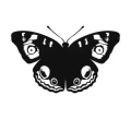 Motyl 4 szablon malarski