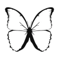 Motyl 5 szablon malarski