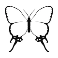 Motyl 8 szablon malarski