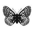 Motyl 9 szablon malarski
