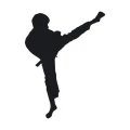 Szablon do malowania karate budo 18sm62
