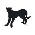 Naklejka samoprzylepna tablicowa dla dzieci puma 1tk79