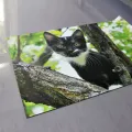 Naklejki na zamówienie