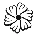 Klasik 115 naklejka samoprzylepna