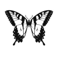 Motyl 1 naklejka samoprzylepna