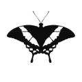 Motyl 11 naklejka samoprzylepna
