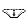 Motyl 12 naklejka samoprzylepna