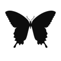 Motyl 13 naklejka samoprzylepna