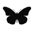 Motyl 15 naklejka samoprzylepna