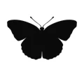 Motyl 16 naklejka samoprzylepna