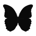 Motyl 17 naklejka samoprzylepna