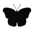Motyl 19 naklejka samoprzylepna