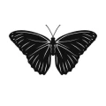 Motyl 2 naklejka samoprzylepna