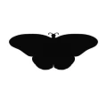 Motyl 24 naklejka samoprzylepna