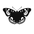 Motyl 4 naklejka samoprzylepna
