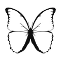 Motyl 5 naklejka samoprzylepna