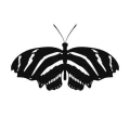 Motyl 6 naklejka samoprzylepna