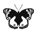 Motyl 7 naklejka samoprzylepna