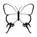 Motyl 8 naklejka samoprzylepna