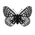 Motyl 9 naklejka samoprzylepna