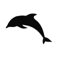 Delfin 812 naklejka samoprzylepna