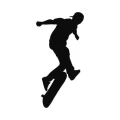 Skater 1019 naklejka samoprzylepna