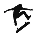 Skater 1023 naklejka samoprzylepna