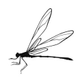Ważka 1061 naklejka samoprzylepna