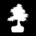 Tablica suchościeralna 011 drzewko bonsai