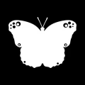 Tablica suchościeralna 030 motyl