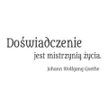 Cytat: doświadczenie 1768 szablon malarski