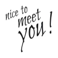 Nice to meet you 1741 naklejka samoprzylepna